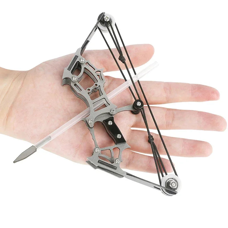 Archery Mini Compound Bow Arrow Set Range 10m Stainless Steel Small Pulley Bow Indoor Outdoor Entertainment Game Sports Shooting